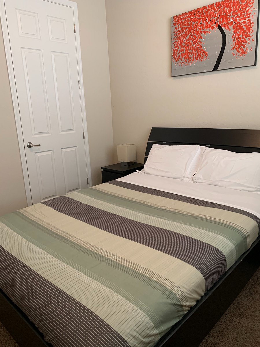 Furnished Finder property 550433_1 photo 11