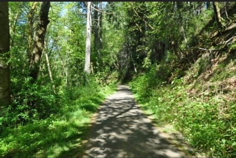 Nearby trail.