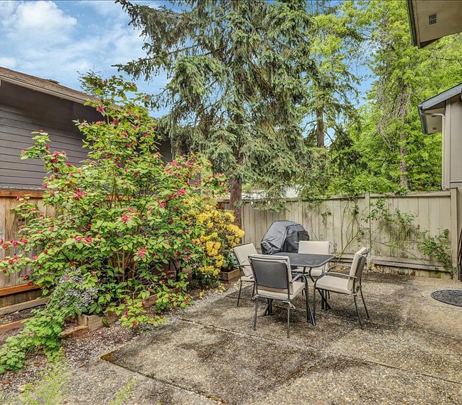 Patio Set and Gas Grill