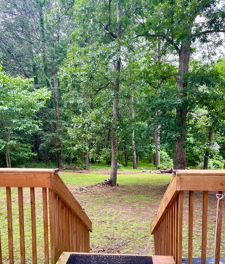 Furnished Finder property 550759_1 photo 19