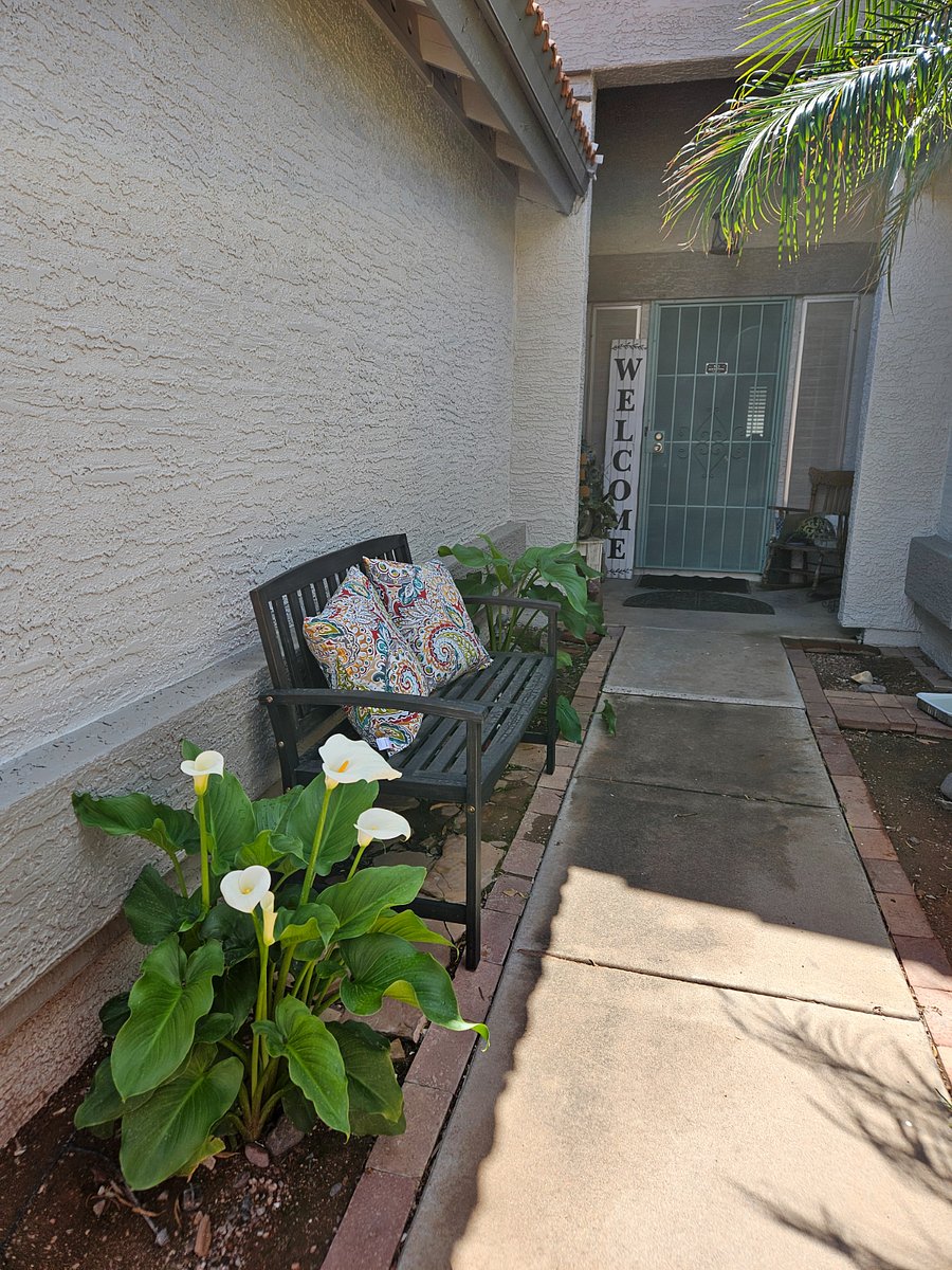 Furnished Finder property 550853_1 photo 16
