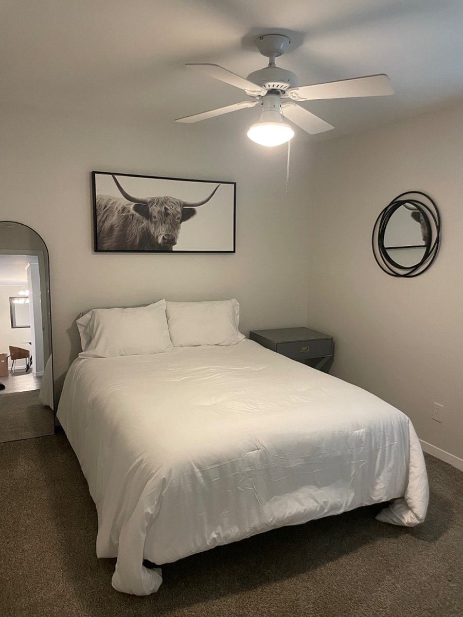 Furnished Finder property 550887_1 photo 14