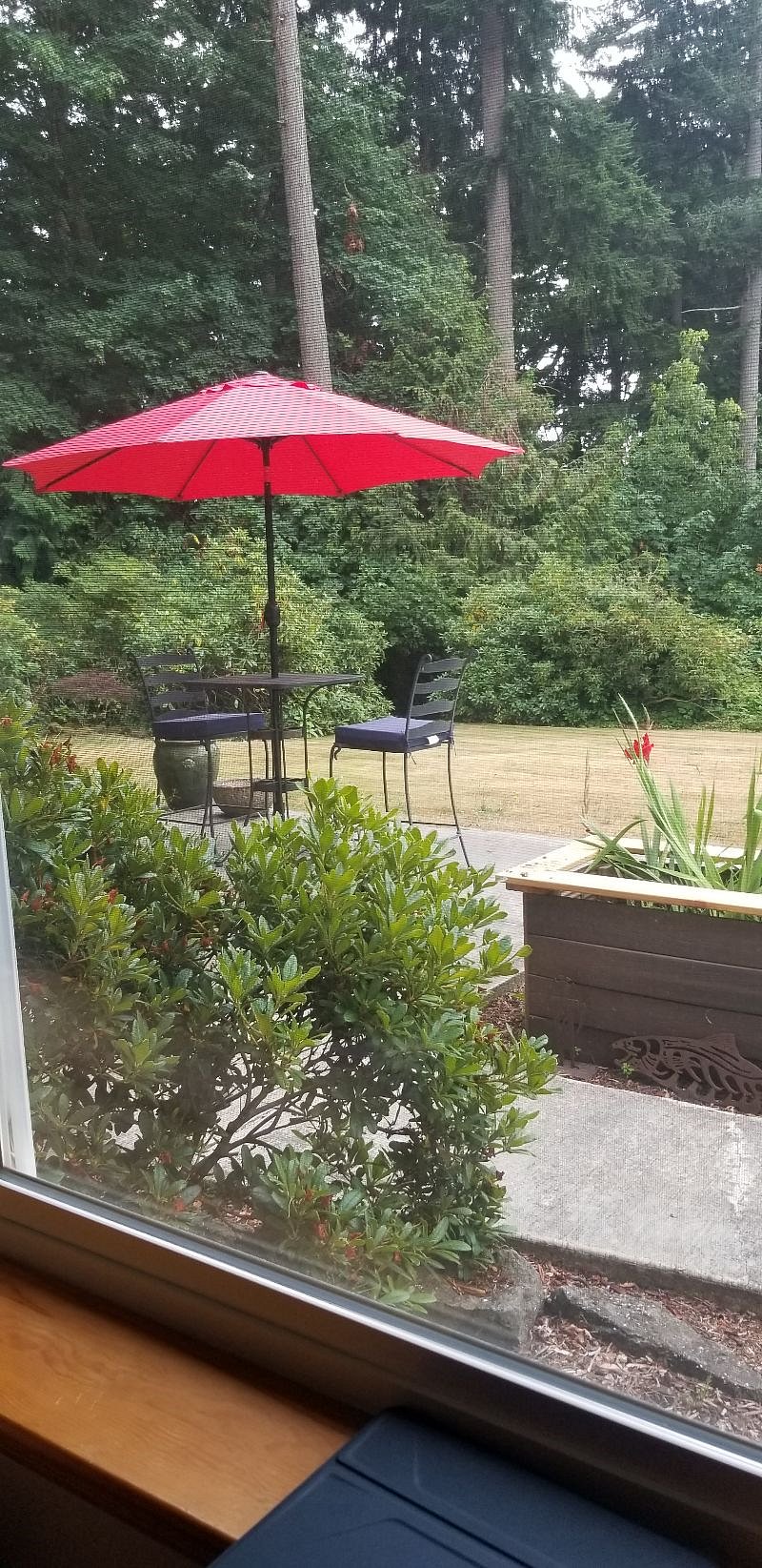 Your yard area and table out your front door looking out from the door way.