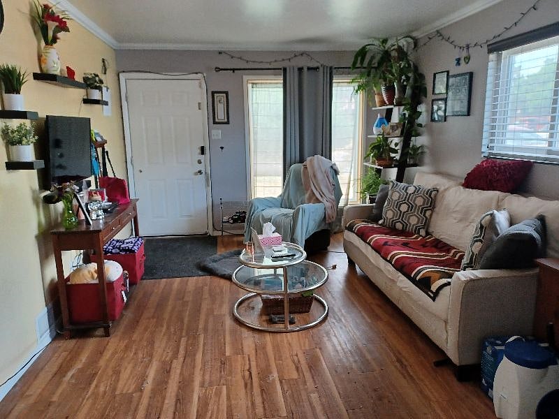 Furnished Finder property 550978_1 photo 4