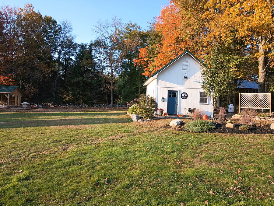 Furnished Finder property 551023_1 photo 17