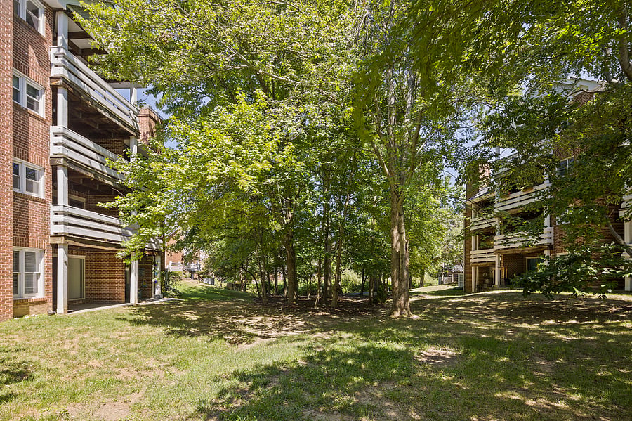 Furnished Finder property 551126_1 photo 22