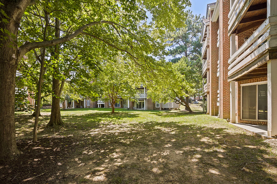 Furnished Finder property 551126_1 photo 23
