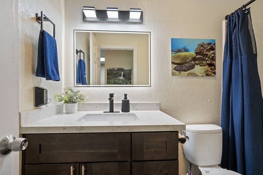 Furnished Finder property 551312_1 photo 15
