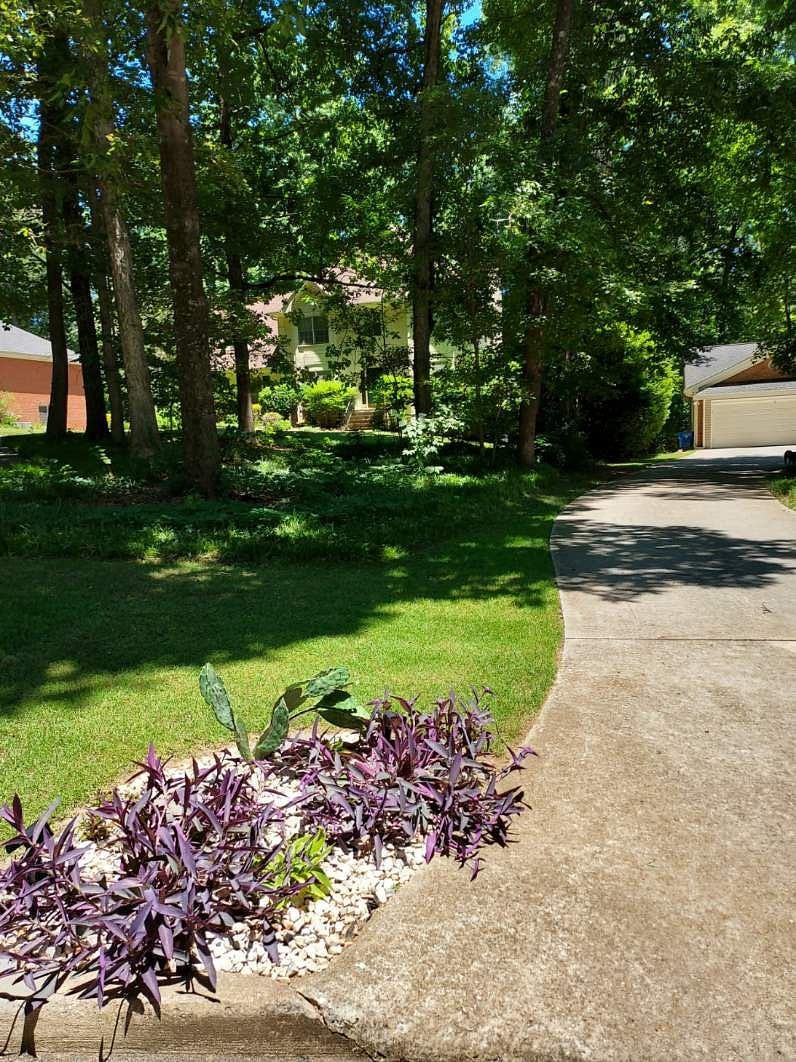 Furnished Finder property 551390_1 photo 8