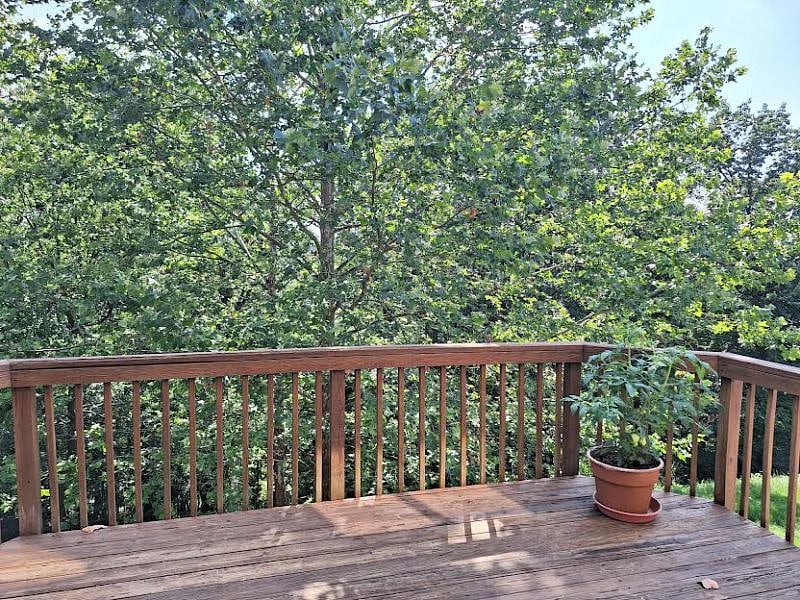 Furnished Finder property 551400_1 photo 13