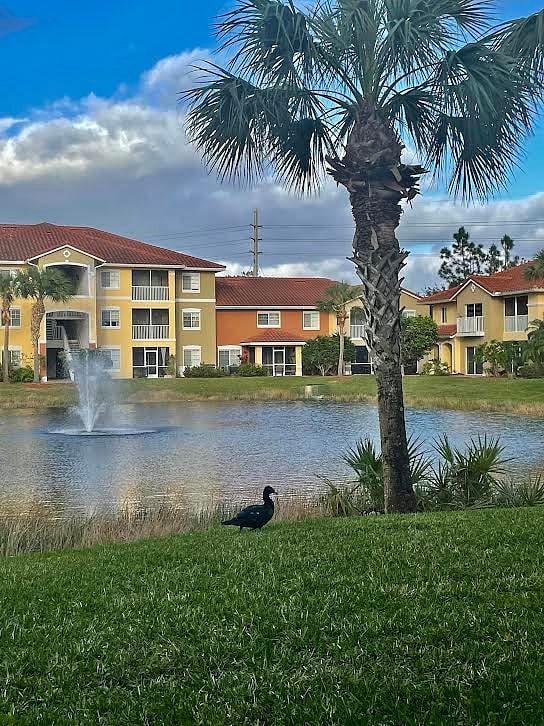 Furnished Finder property 551507_1 photo 4