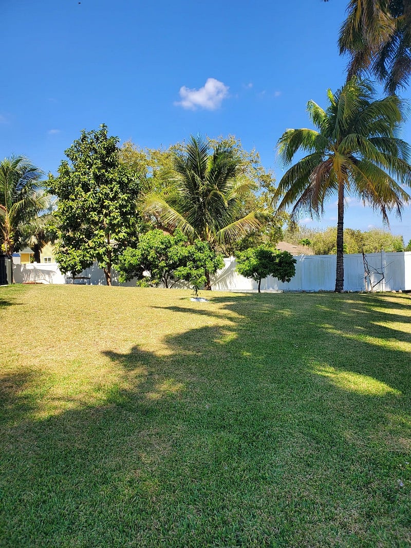 Furnished Finder property 551694_1 photo 8