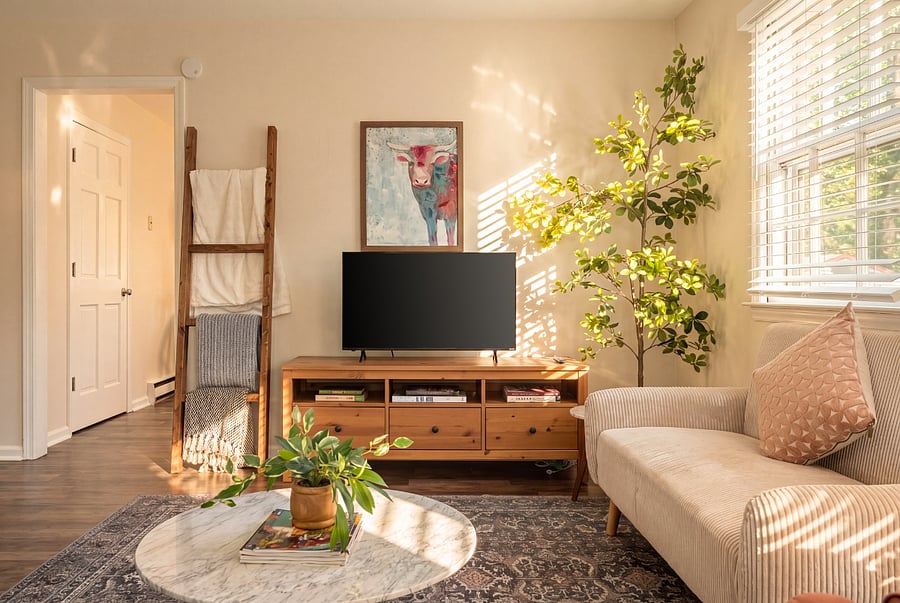 Furnished Finder property 551697_1 photo 4