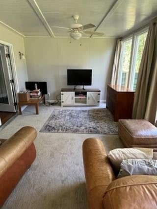 Furnished Finder property 551806_1 photo 14