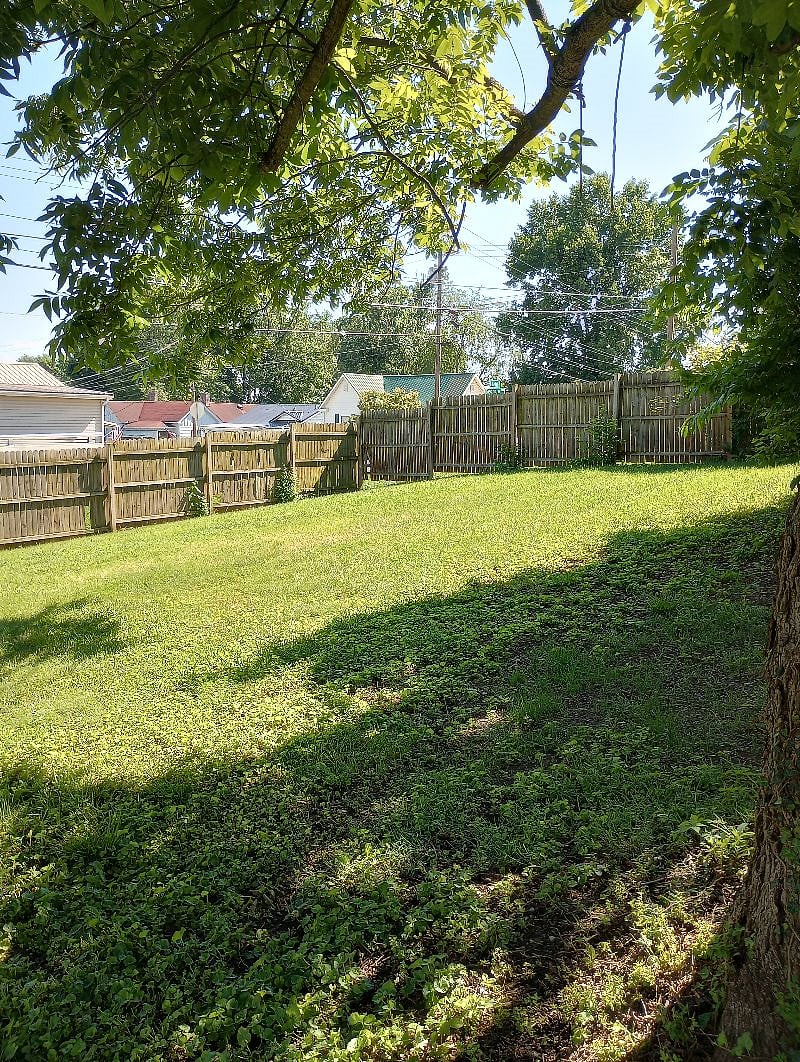 Furnished Finder property 551899_1 photo 20