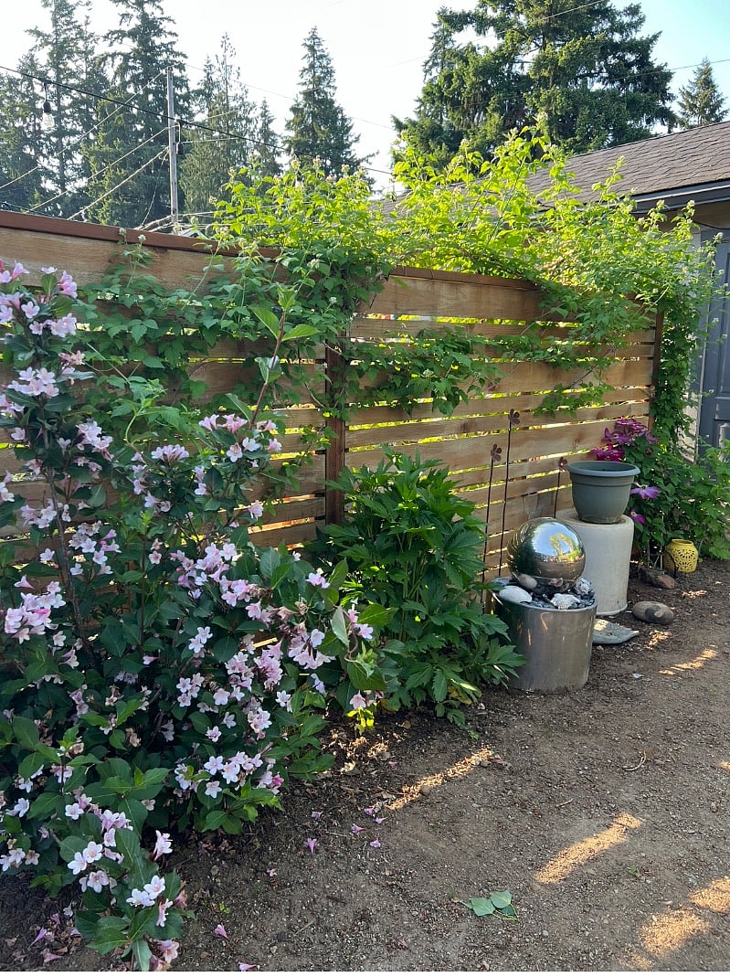 garden wall