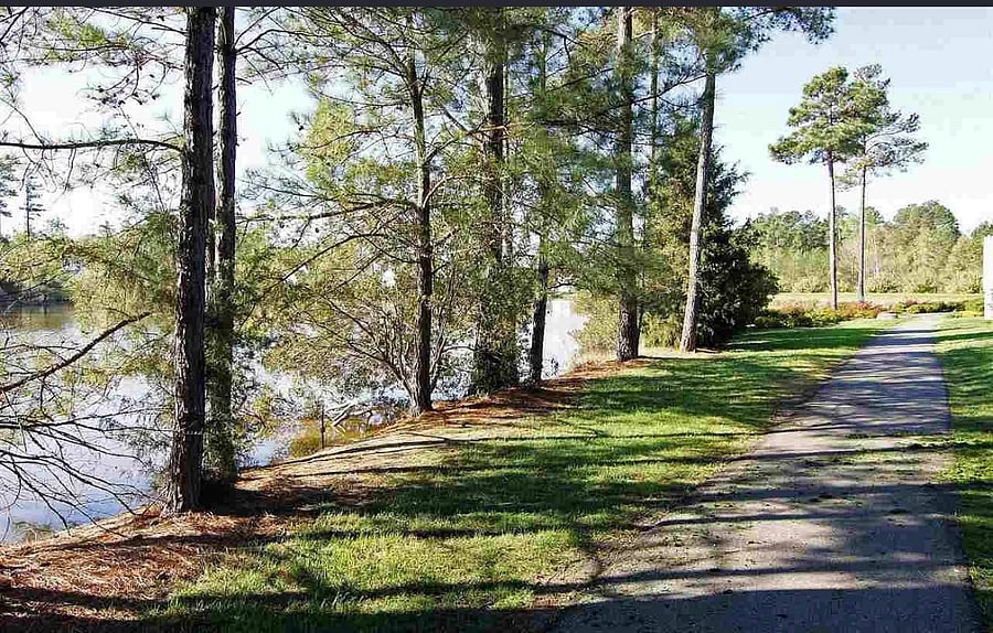 Furnished Finder property 552069_1 photo 33