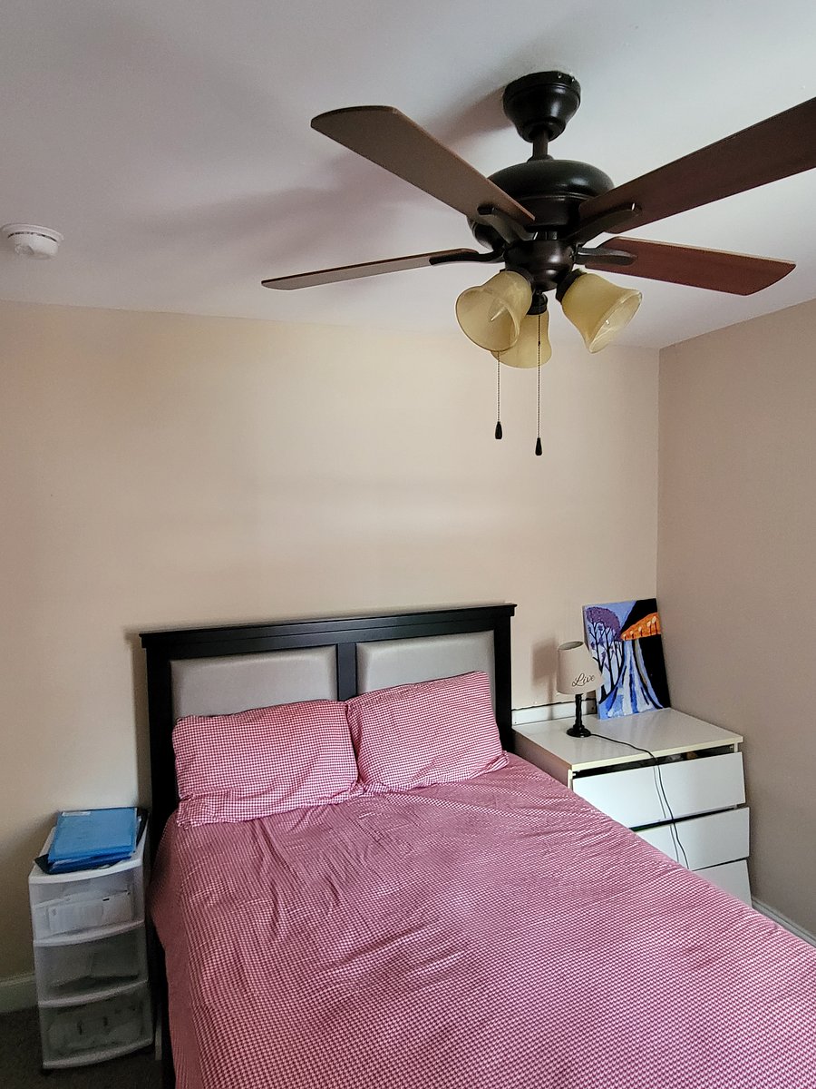 Furnished Finder property 552089_1 photo 13