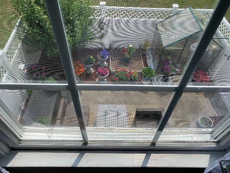 View of the backyard garden