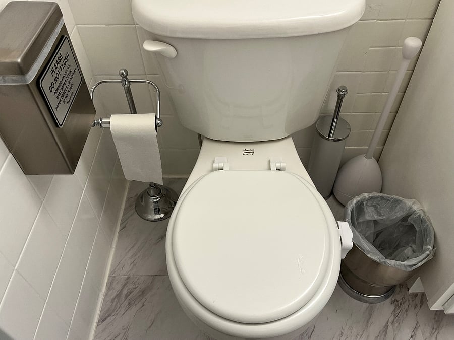 Sanitary Napkin Receptacle, toilet cleaner brush, and toilet plunger