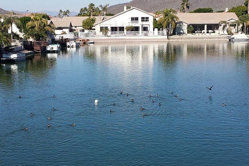 Furnished Finder property 552363_1 photo 14