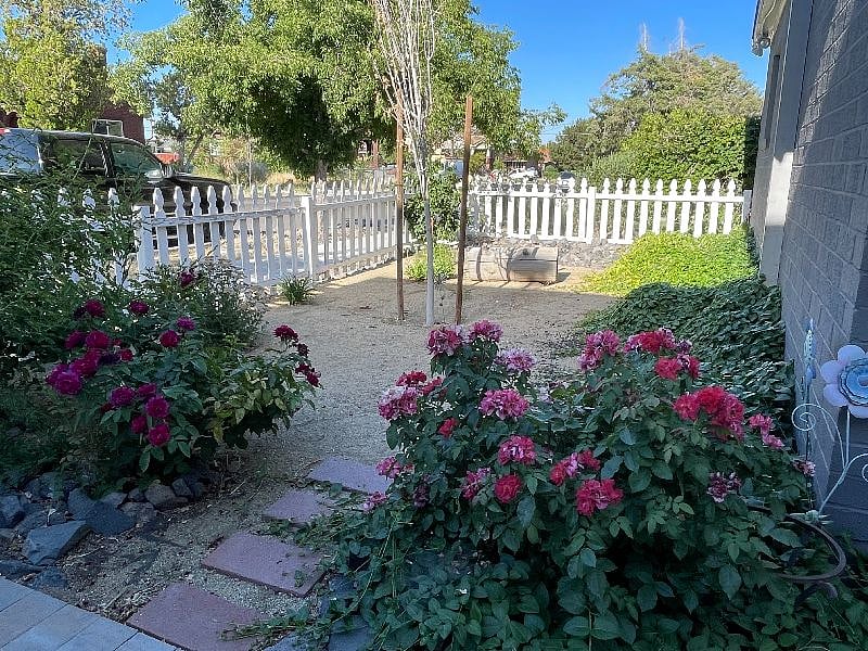 Front yard