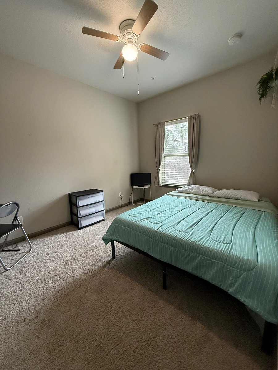 Furnished Finder property 552485_1 photo 16