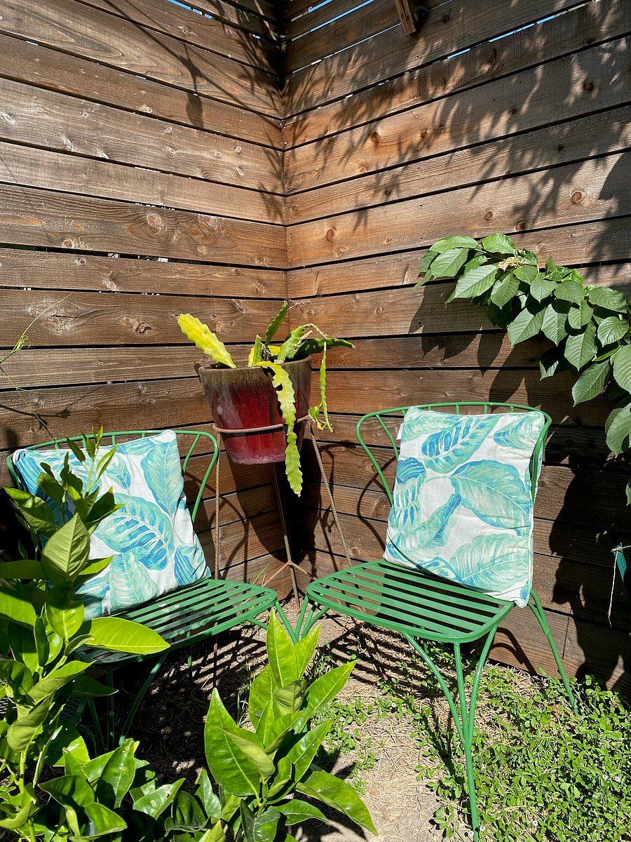 Various sitting areas in the garden