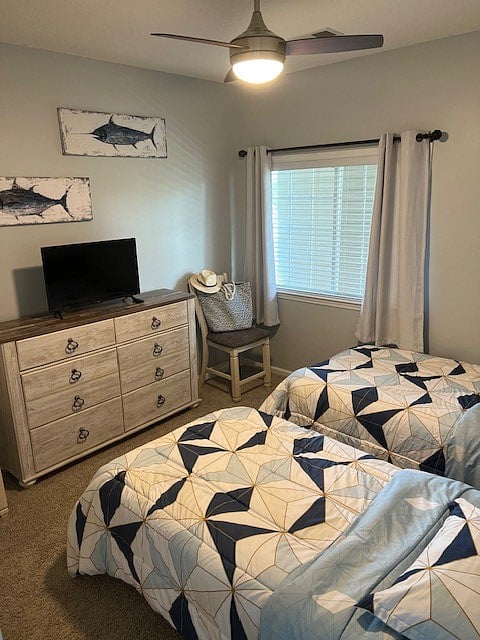 Furnished Finder property 552532_1 photo 16