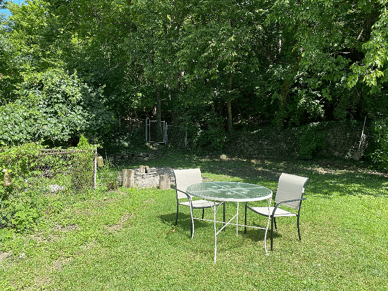 Gorgeous, quiet woods behind the house.