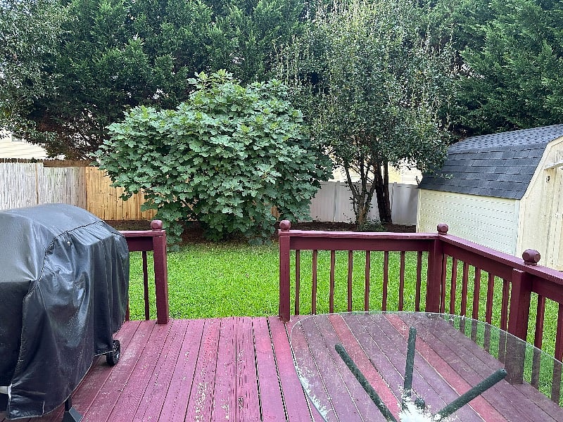 Furnished Finder property 552567_1 photo 12