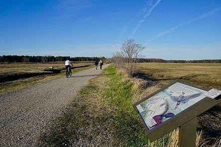 South Portland bike path picture two