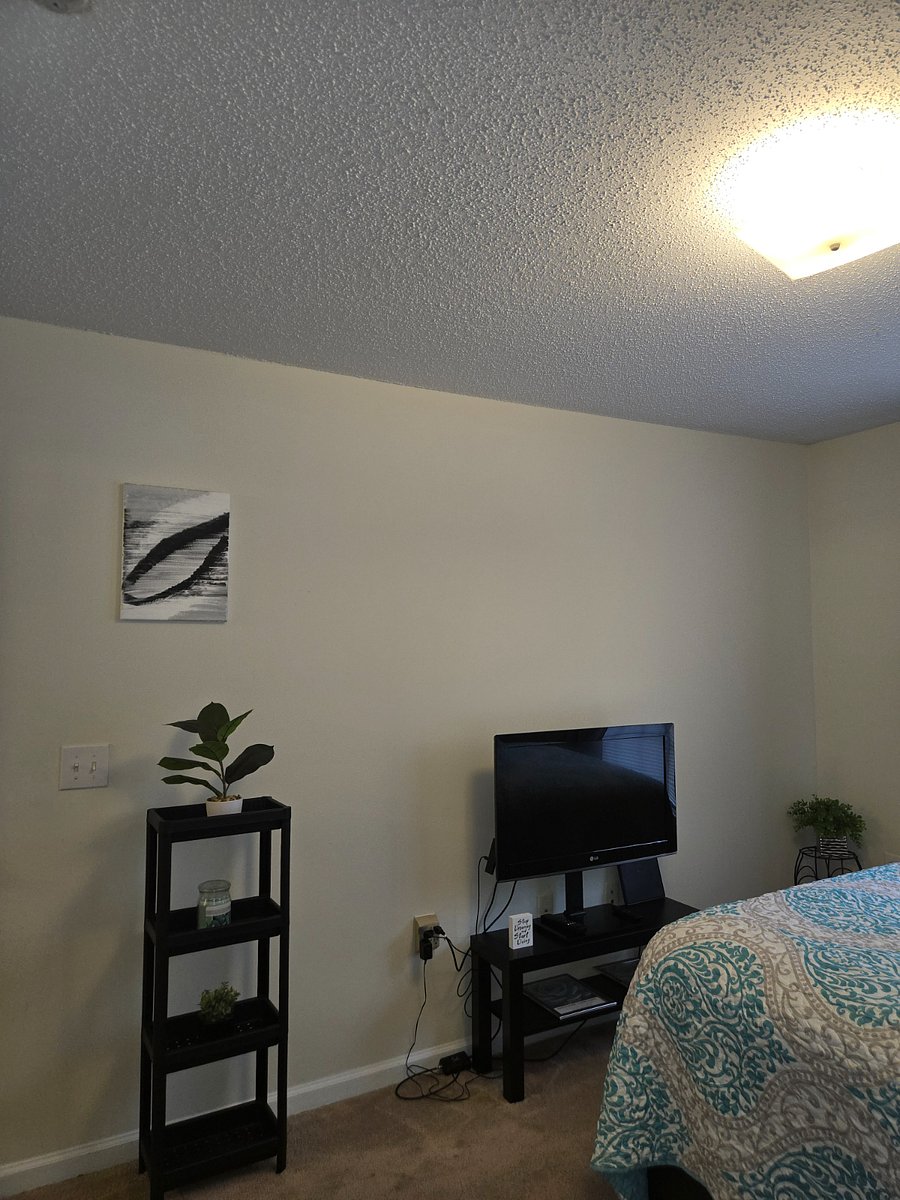 Furnished Finder property 552685_1 photo 4