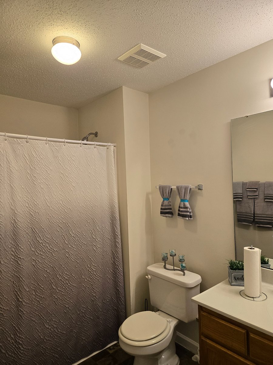 Furnished Finder property 552685_1 photo 7