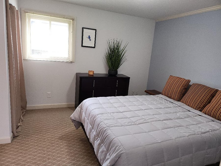 Furnished Finder property 552815_1 photo 19