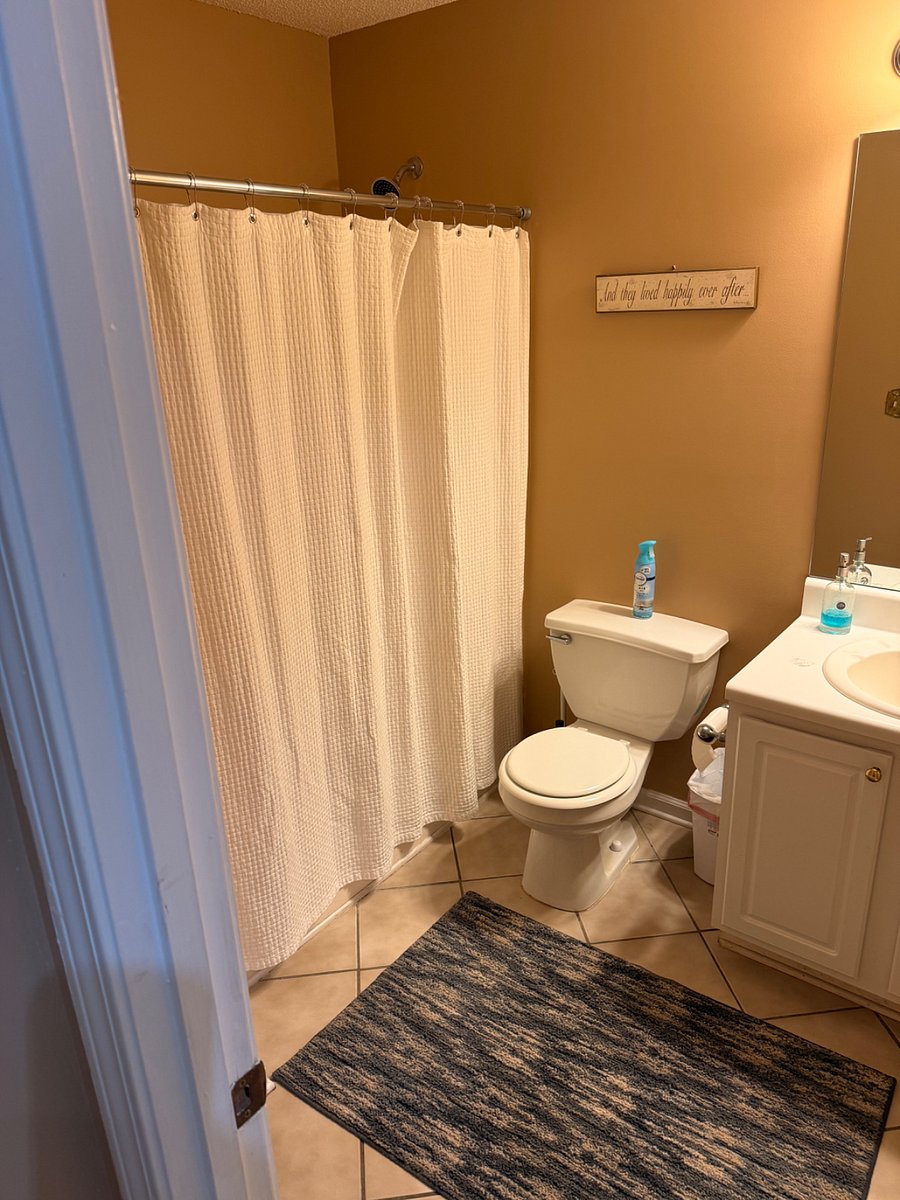 Furnished Finder property 552819_1 photo 20