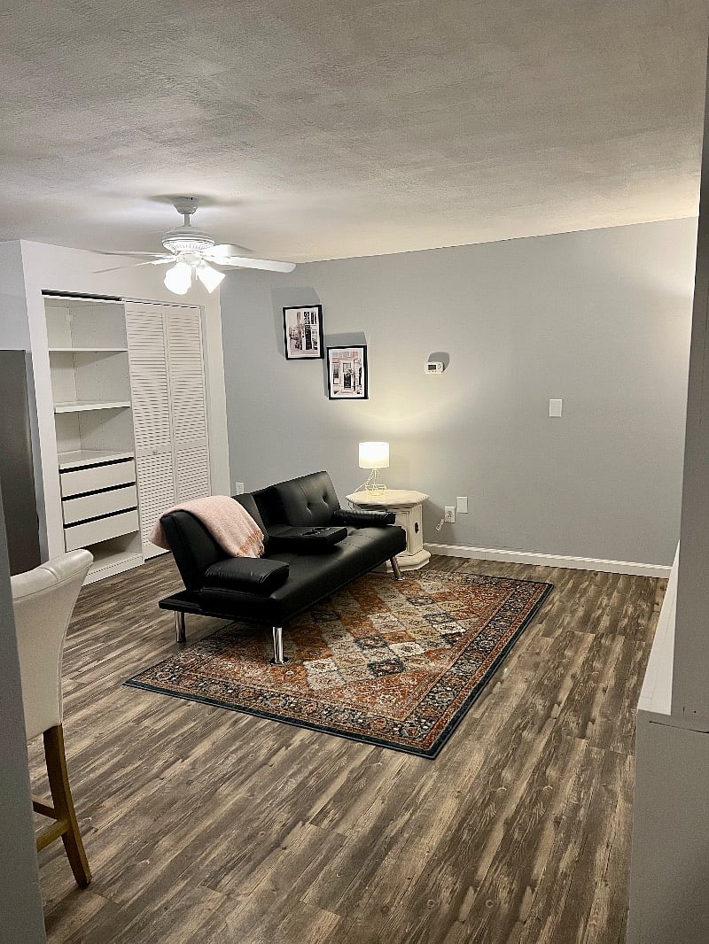 There is now a more cozy tan couch, but don't want to disturb the renter who is packing up to take a photo yet.