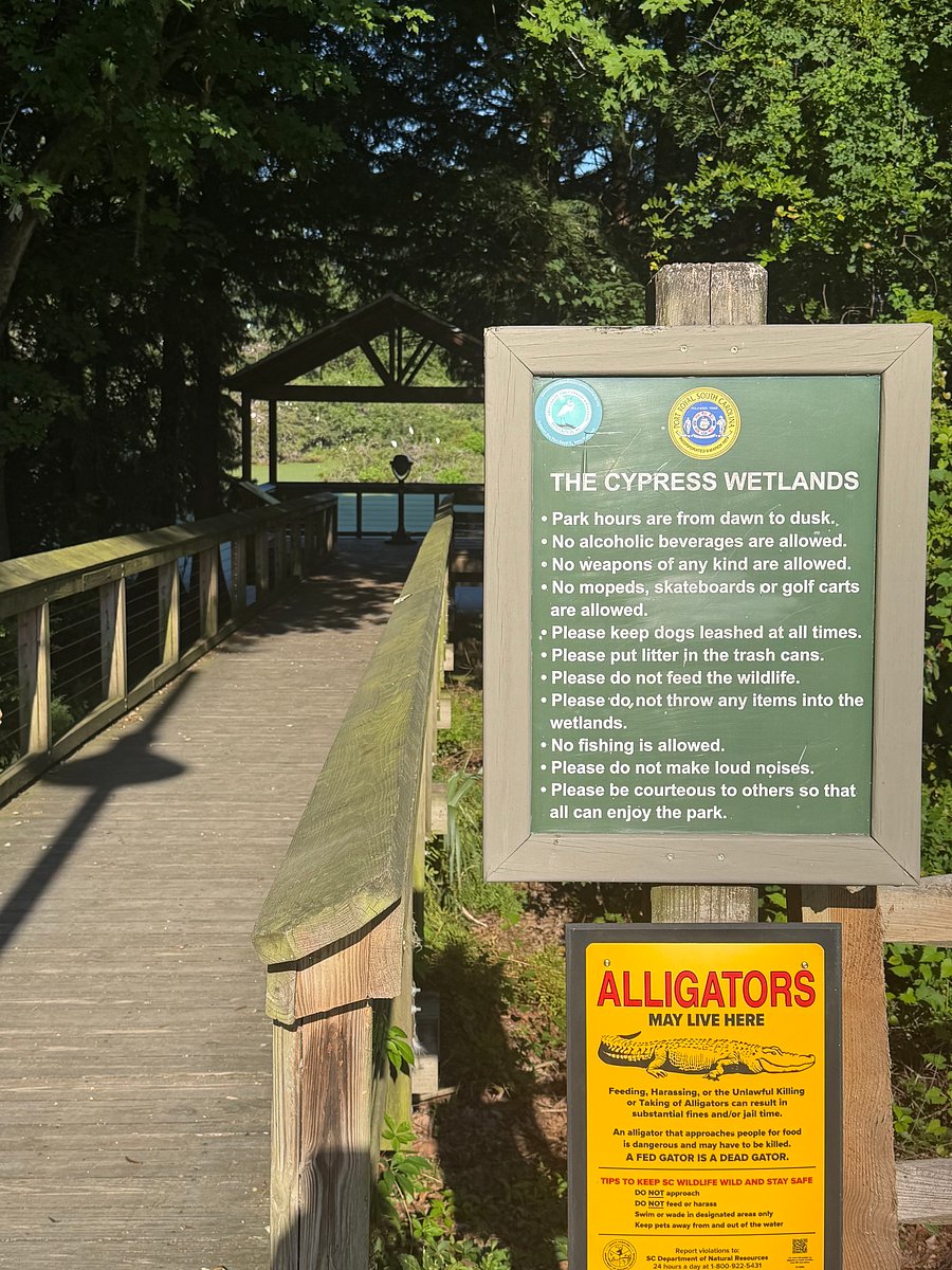 Walk to cypress wetlands to view 