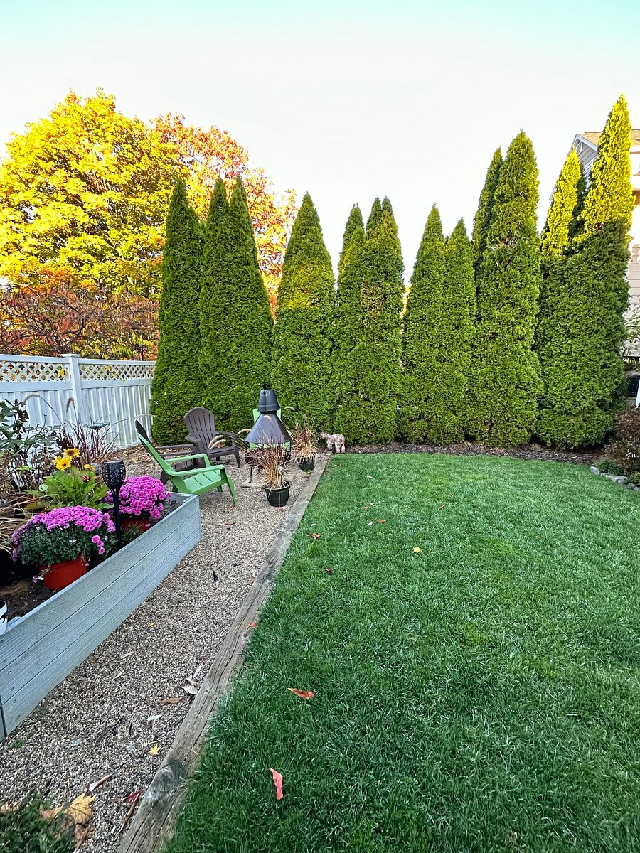 Furnished Finder property 553016_1 photo 22