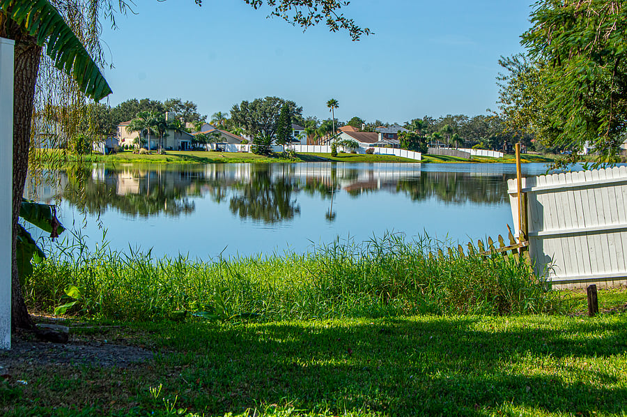 Furnished Finder property 553166_1 photo 38