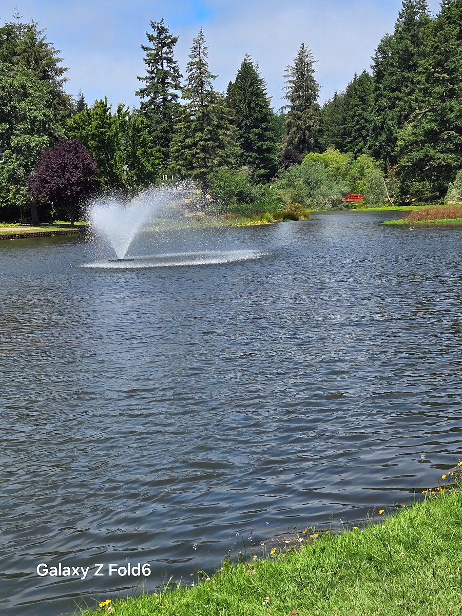 Mingus Park