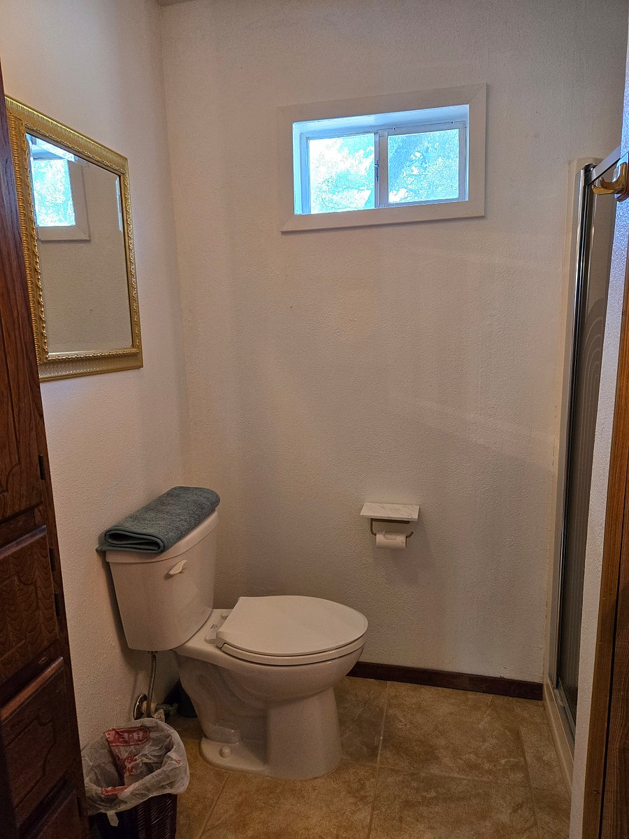 Furnished Finder property 553310_1 photo 13