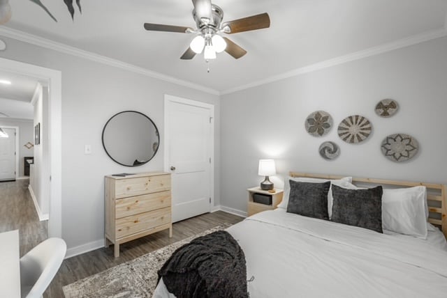 Furnished Finder property 553315_1 photo 24
