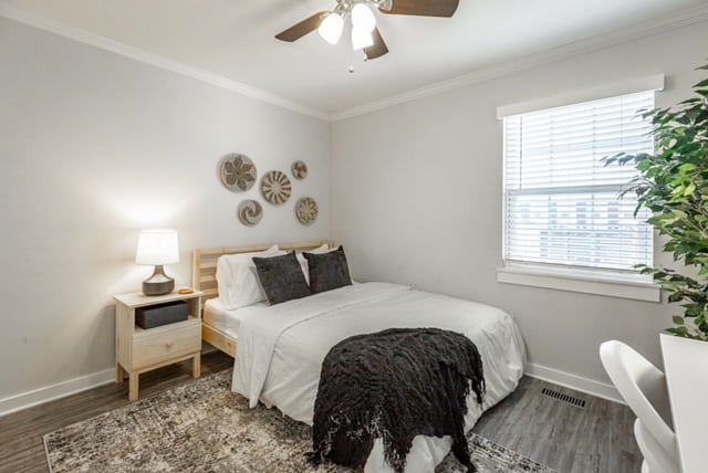 Furnished Finder property 553315_1 photo 23