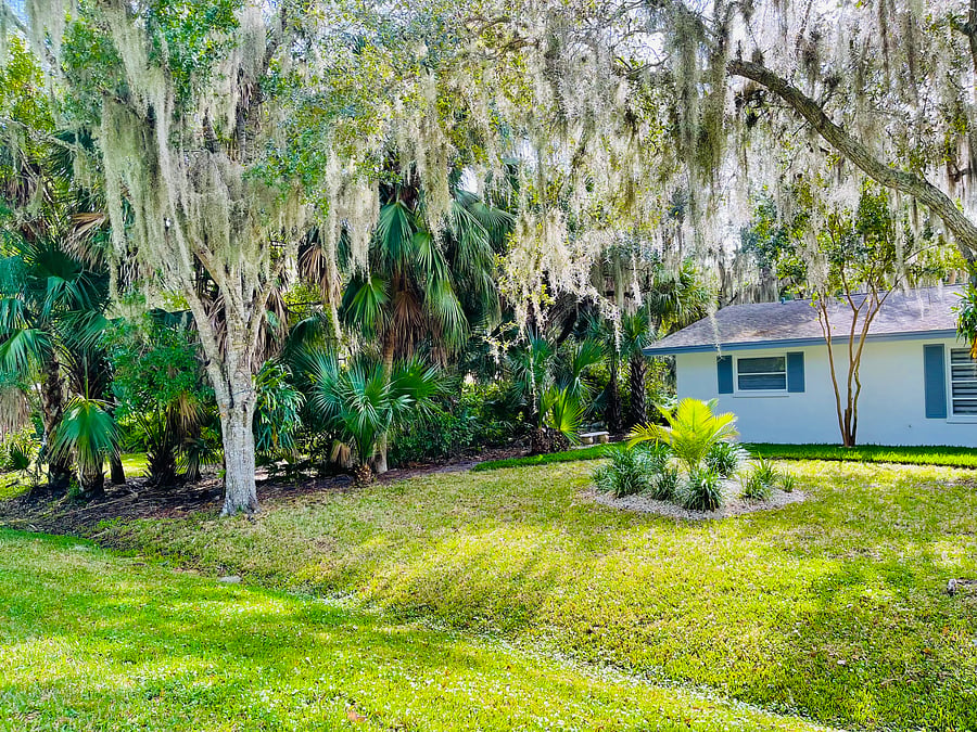 Furnished Finder property 553371_1 photo 17
