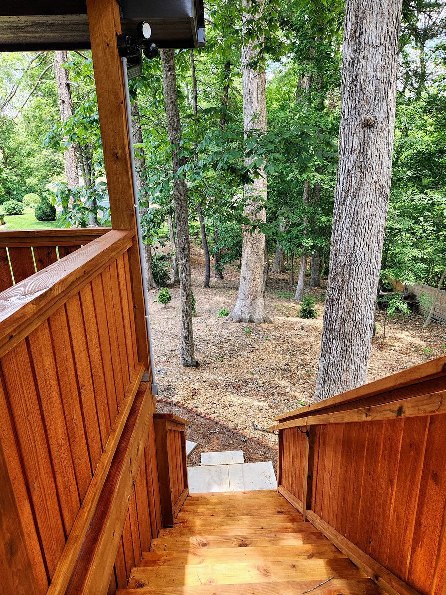 Furnished Finder property 553384_1 photo 16