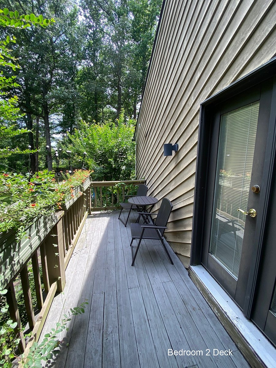 Furnished Finder property 553685_1 photo 15