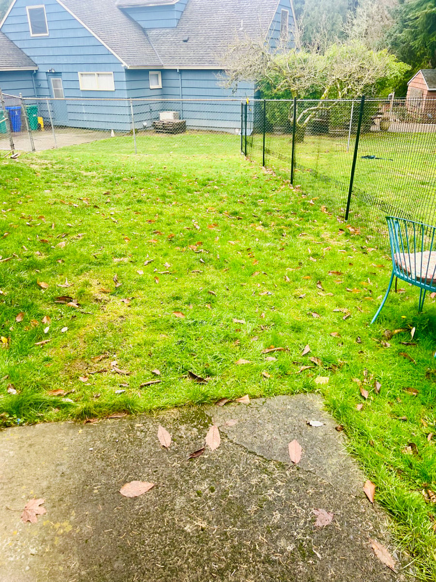 Fenced backyard with sitting bistro table 