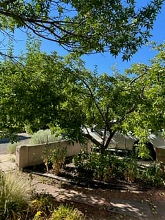 Furnished Finder property 553835_1 photo 19