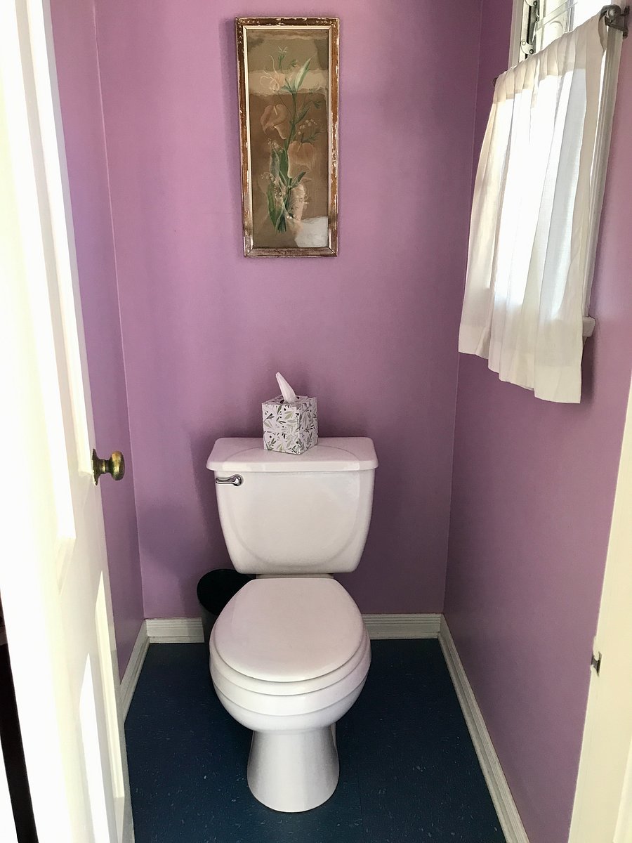 Furnished Finder property 553905_1 photo 12